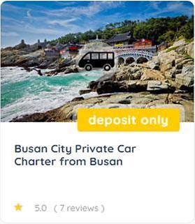 Busan Private Tour